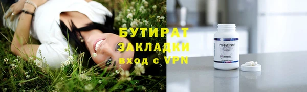 индика Пестово
