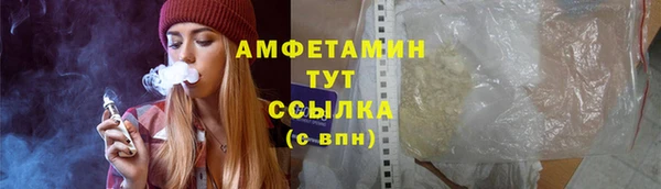 прущие грибы Осинники