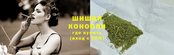 прущие грибы Осинники