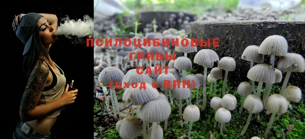 прущие грибы Осинники