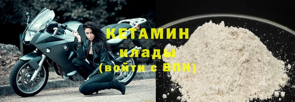 прущие грибы Осинники