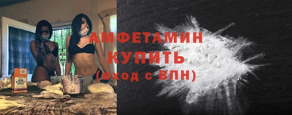 индика Пестово