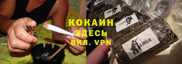 индика Пестово