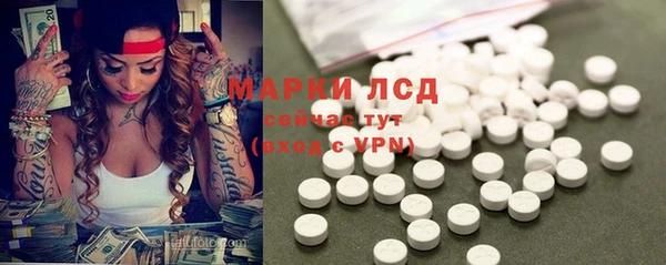 прущие грибы Осинники