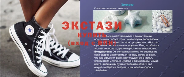 индика Пестово